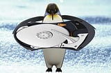 Live disk migration on Linux distributions