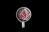 A pink rose in a white mug on a black table to signify life growing from darkness.