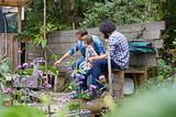 Astuces pour entretenir son jardin à la mi-saison