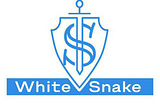 Approaching stealers devs : a brief interview with WhiteSnake
