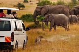 Kenya Fly Safari vs. Road Safari: Comparing Two Exhilarating Paths of Exploration