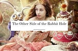 The Other Side of the Rabbit Hole
