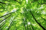 The Importance of Being Environmentalist: Building a Green Future with MFET