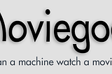 Moviegoer — Next Steps