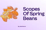 Different scopes of Spring beans with examples .
