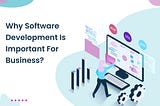 Custom Software Development and Its Importance for Business