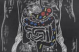 The Bottom Line on Prebiotics