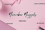 November nuggets — diagramGPT, camera confidence & more lessons