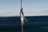 Silver fishing lure with many-pronged hook haning from a line with the ocean in the background.