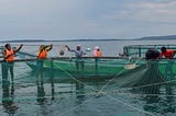 Rio Fish: Creating Economic Opportunities through Aquaculture