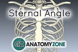 Sternal Angle of Louis