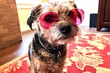 “I like to look at problems through rose-colored glasses. They make red flags look like just flags.” Photo by Catherine La Grange.