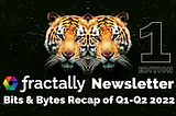 ƒractally Newsletter — 1st Edition