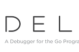 Delving Into Unit Tests