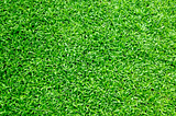 Climate Warriors: How Artificial Grass Contributes to Sustainable Landscapes