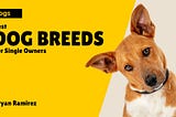 Best Dog Breeds For Single Owners