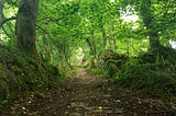 The Circular Path in the Woods