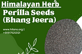 Himalayan Herb: Perilla Seed or Bhanjeera