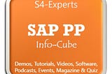 Efficiency and Innovation in SAP PP for Global Manufacturing