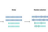 Stratified sampling in Machine Learning.