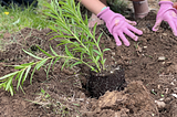 Reading the Outdoors: Soil