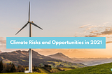 Climate Risks and Opportunities in 2021