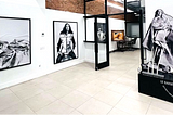 ORLAN: A Retrospective