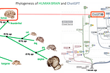 ON THE PLAUSIBILITY AND INEVITABILITY OF ARTIFICIAL GENERAL INTELLIGENCE (AGI): IT IS IN THE…