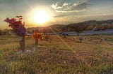 Image taken at my son’s grave. The golden morning rays of sun are shining over the flowers in the cemetery. In the distance, the clouds cast a shadow on the Appalachian mountains. The feeling is hopeful..