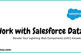 Work With Salesforce Data