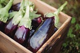 6 Delicious Italian Eggplant Dishes You Need to Make ASAP