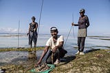 Three people stand on a shoreline, each wearing scuba diving masks perched on their foreheads, pose for a photo with a pile of mollusks they have collected laid out on a green towel.