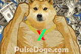 PulseDogeCoin 100 day Claim Phase coming to an end…