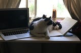 The Critic and Unfinished Work