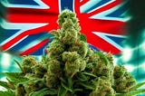 Image of cannabis plant and UK flag (created with Photoleap AI app, so they may own this; use of the app is not an endorsement; use at your discretion).