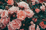 Tablescaping