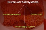 Drivers of food systems (Food environment, consumers and food supply system).