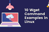 10 wget command examples