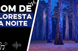 Som de Floresta | Download de Som de Floresta a noite | Rick Efeitos Sonoros