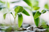 How to build simple MERN blog app (with Redux), following “natural growth”, step by step guide …