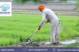 Role Of NGOs Working For Farmers In India