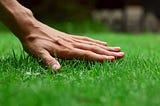 What My Lawn-Care Provider Reminded Me About the Gospel