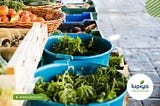 Benefits of Supporting Local Businesses
