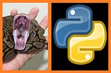 Python — Review