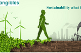 Sustainability — What is it?