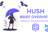 VG’s brief Overview — Hush — A Privacy-Focused Ecosystem