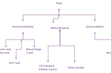 Test for Heteroscedasticity, Multicollinearity and Autocorrelation