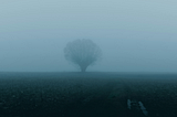 Why the invisible matters more than you think