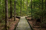 A boardwalk in the forest diverges into two paths chosen to symbolize that we repeatedly walk paths by chance and are then faced with decision-making points in life. Credit:BackyardProduction #Child-FreeLife #Child-Free #ChildfreeByChoice #ChildfreeByChance