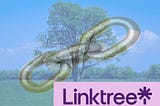 How to Set Up Your Professional Linktree in 4 Easy Steps